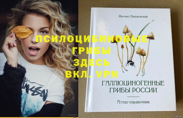 spice Мегион